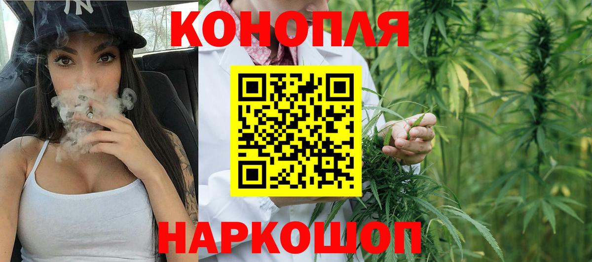 Бошки Шишки планчик Сергиев Посад